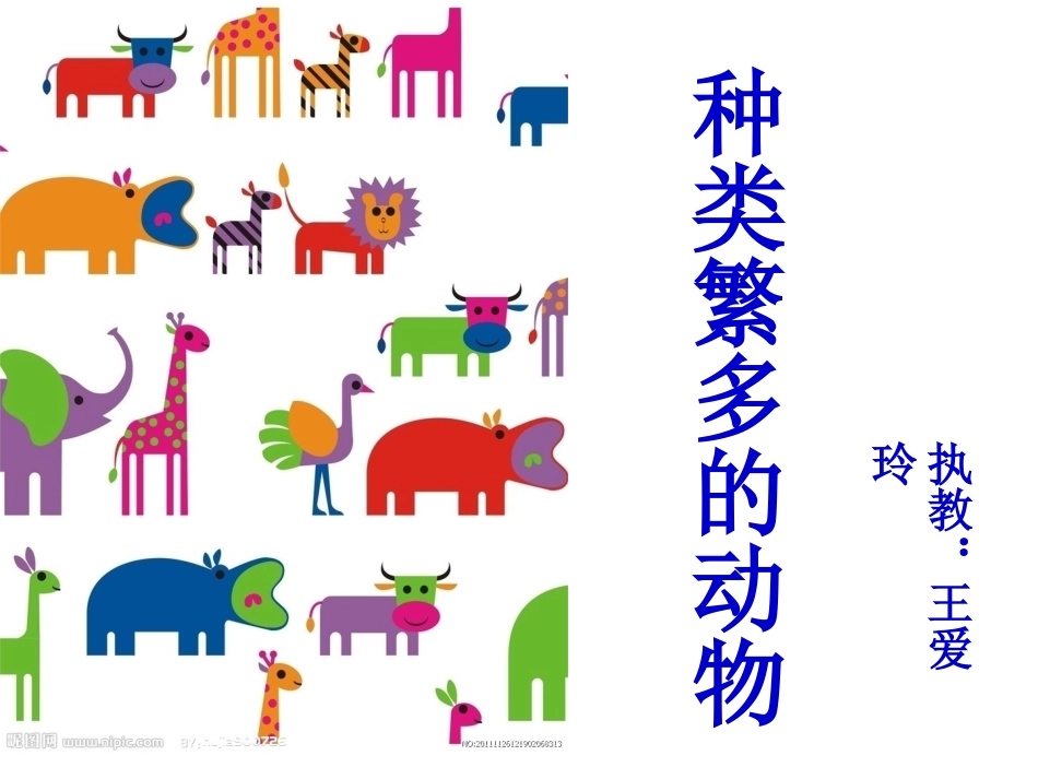种类繁多的动物_第1页