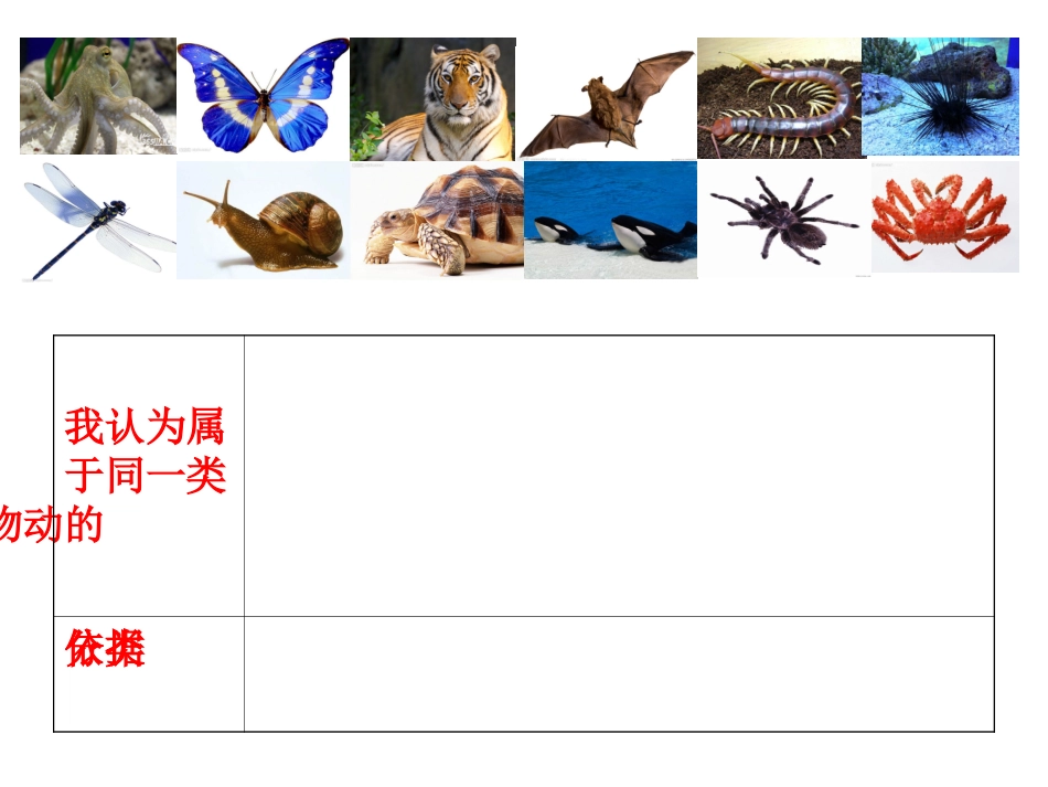 种类繁多的动物_第3页