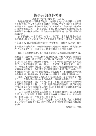 创森征文及方案总结