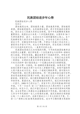 民族团结进步年心得