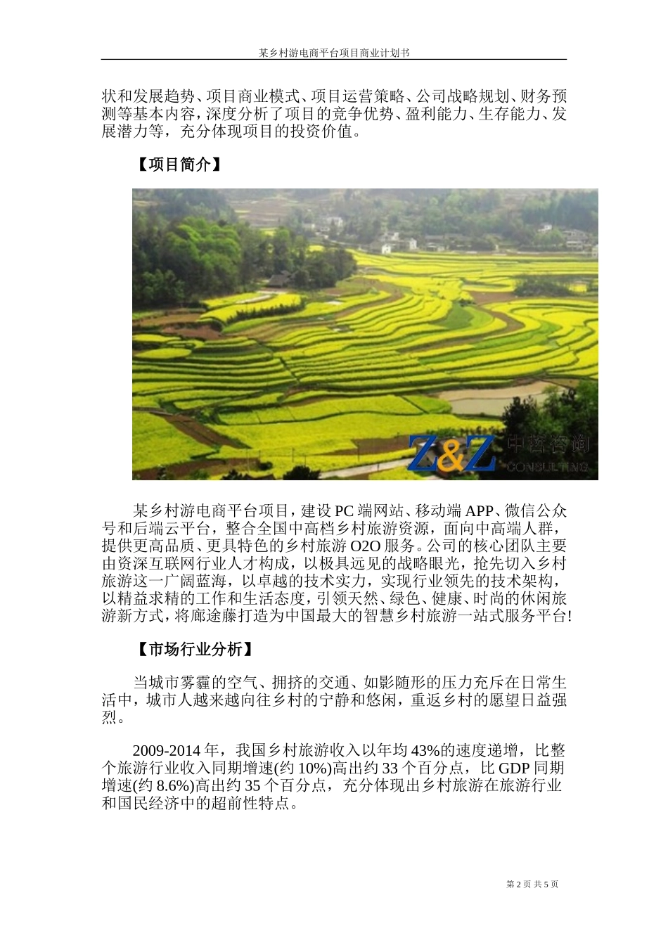 电商平台商业计划书_第2页