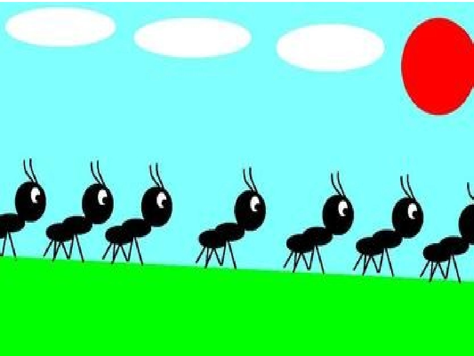 民族团结班会课_第3页