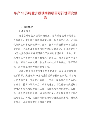 年产10万吨重介质铁精粉项目可行性研究报告