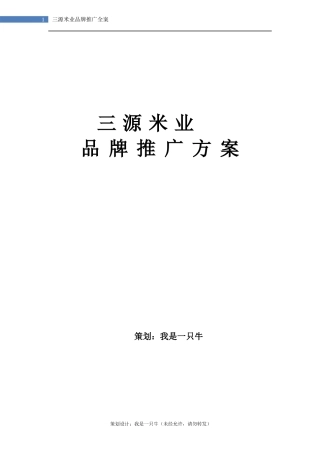 大米品牌推广方案