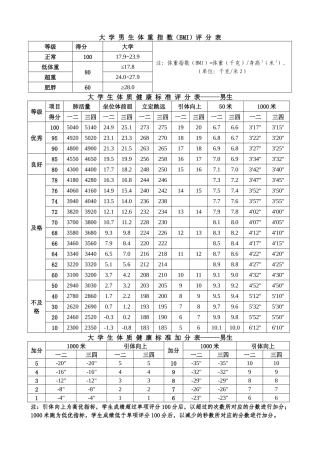 大学生体质健康标准评分表