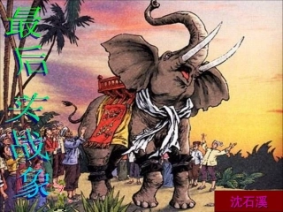 最后一头战象。