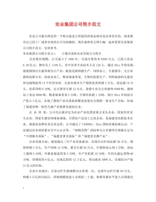 实业集团公司简介范文 