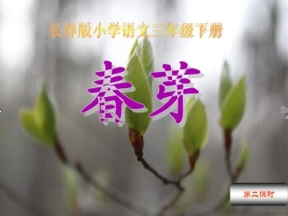 春芽3第二课时