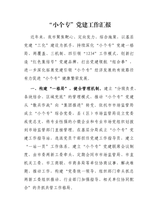 “小个专”党建工作汇报