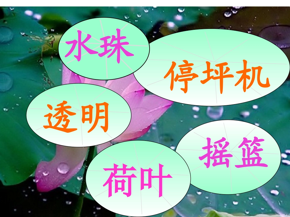 荷叶圆圆 (3)_第3页