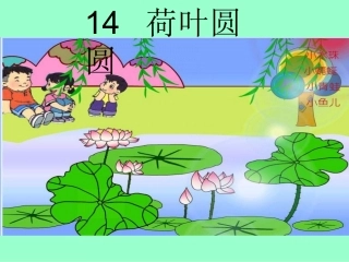 荷叶圆圆 (3)