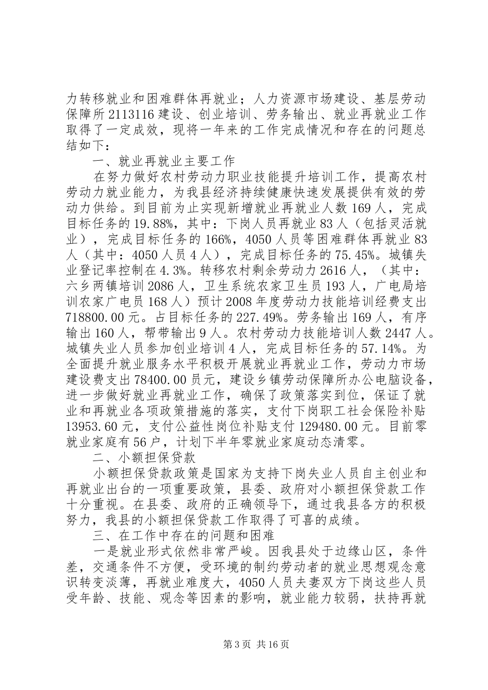 劳动就业服务局工作总结 _第3页