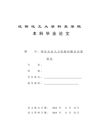 国有企业人力资源问题及对策研究毕业论文