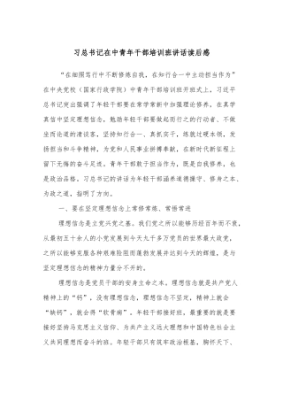 习总书记在中青年干部培训班讲话读后感