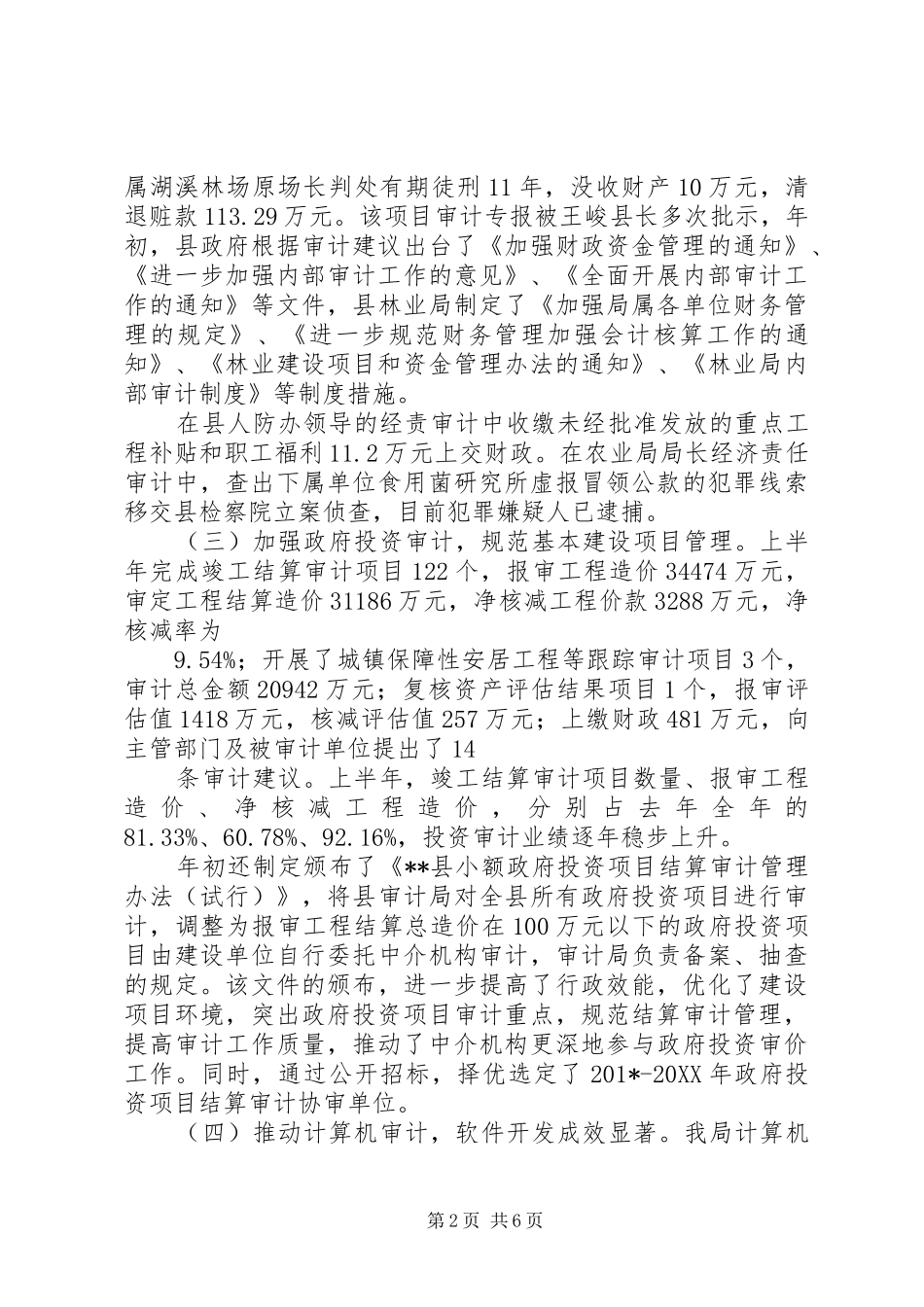 审计局202X年工作总结_第2页
