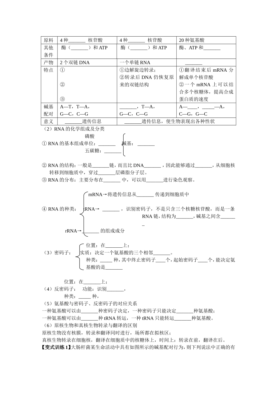 基因的表达--一轮复习学案_第2页
