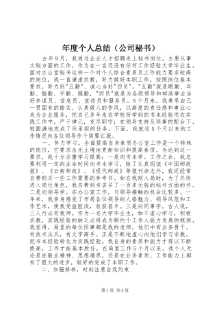 年度个人总结（公司秘书） 