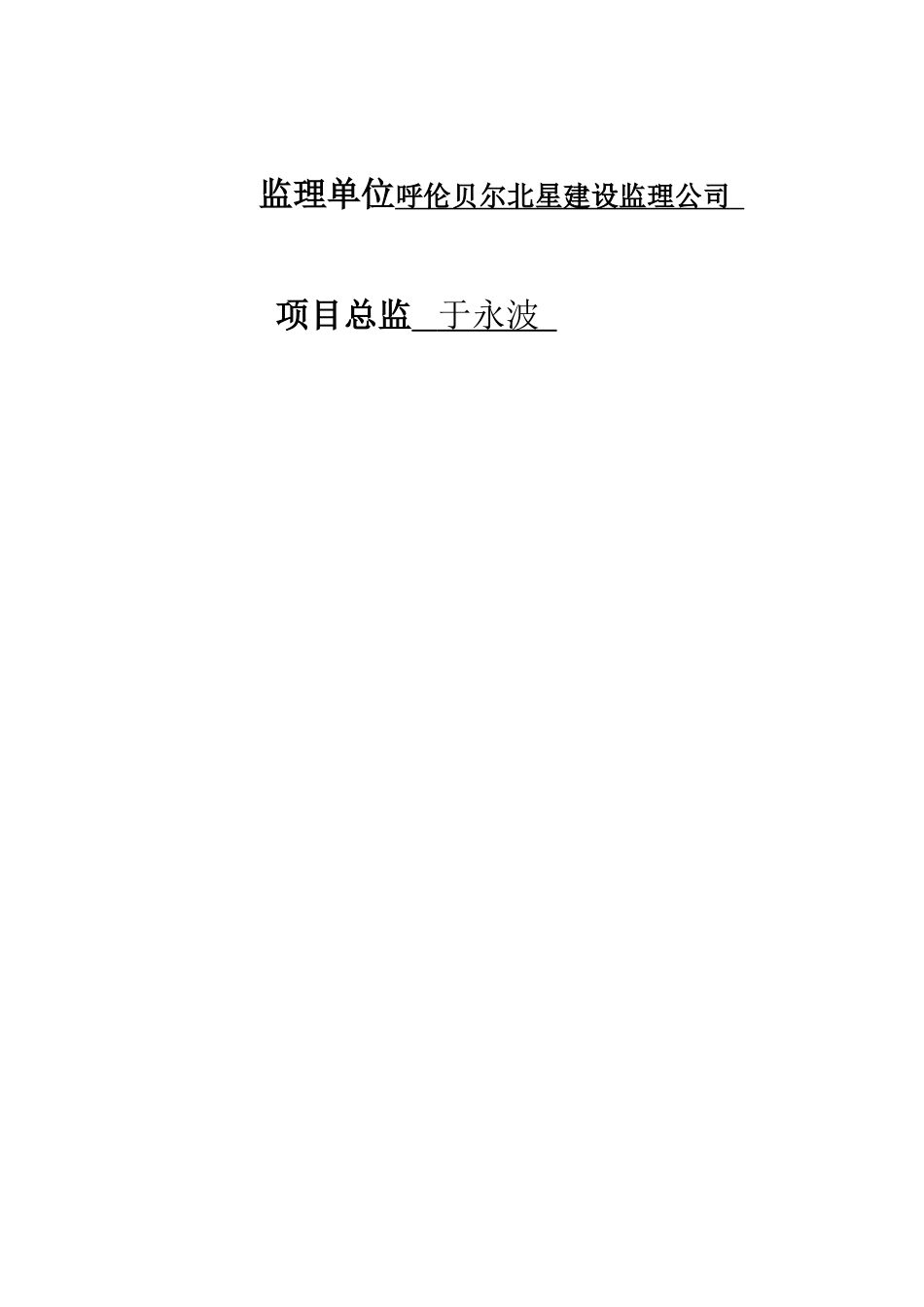 监理月报范例_第3页