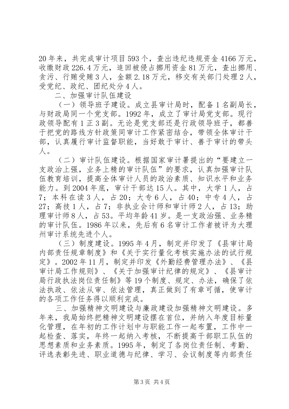 审计系统工作总结 _第3页