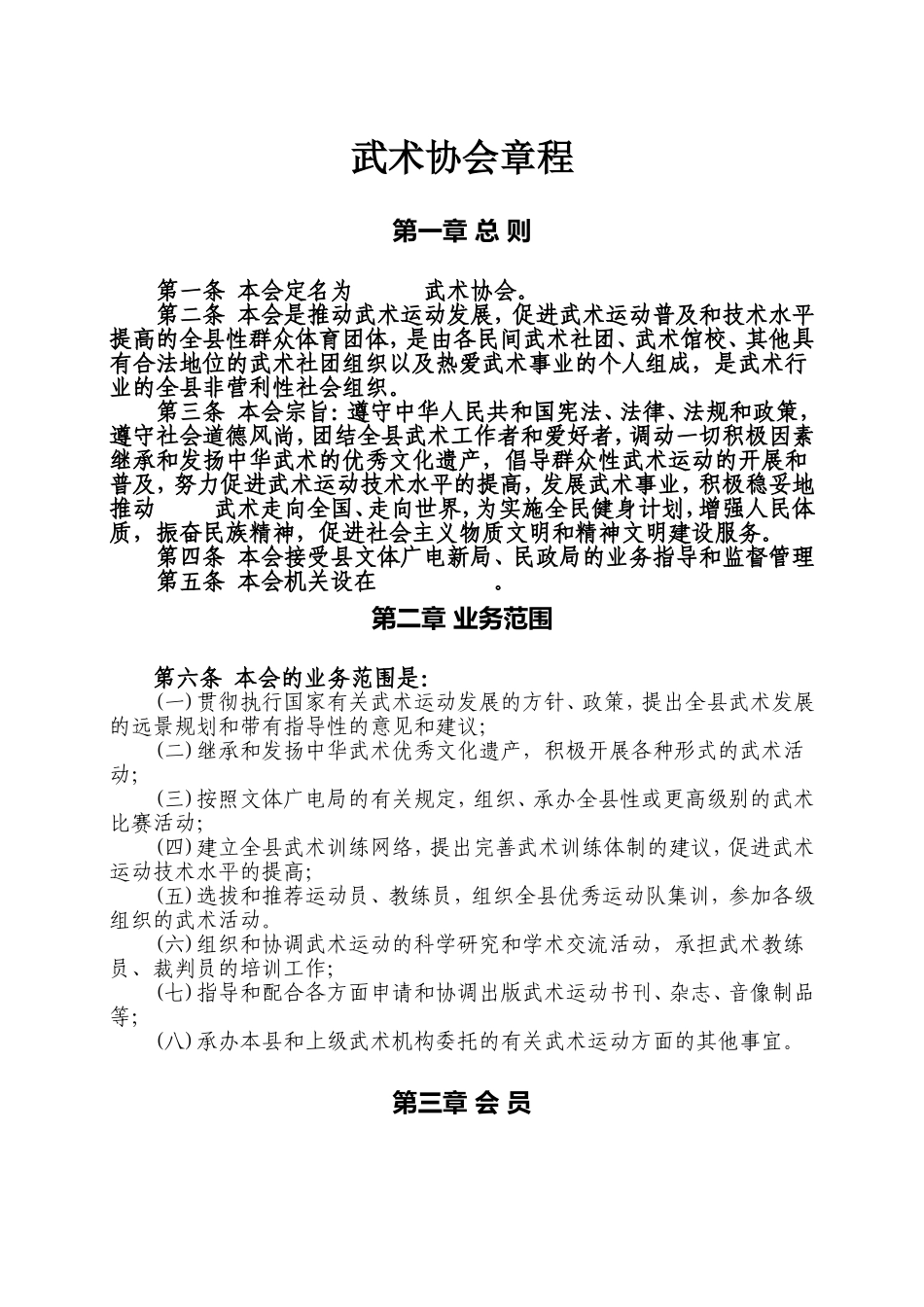 武术协会章程_第1页