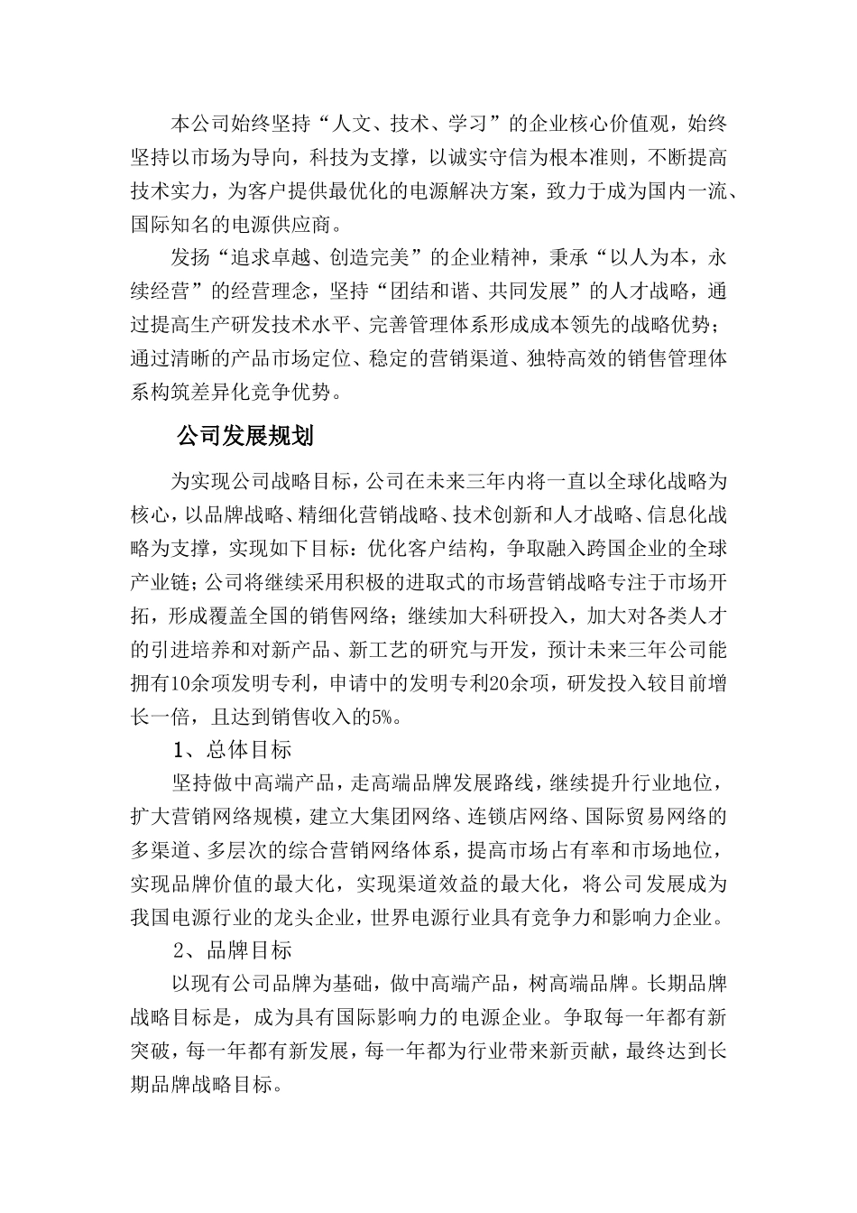 公司未来战略规划及发展目标_第2页