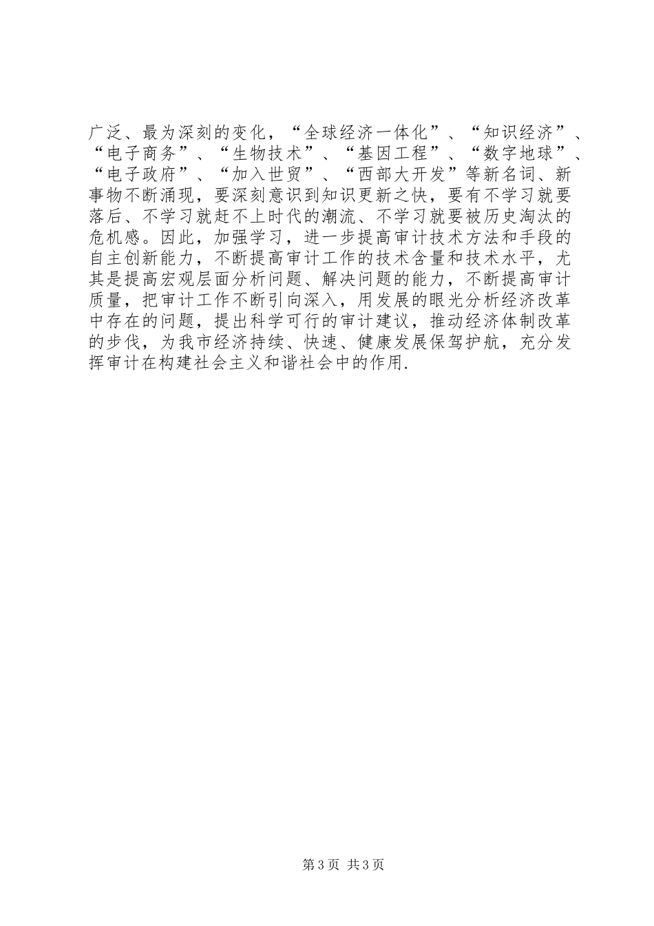 审计局人员个人工作总结 _第3页