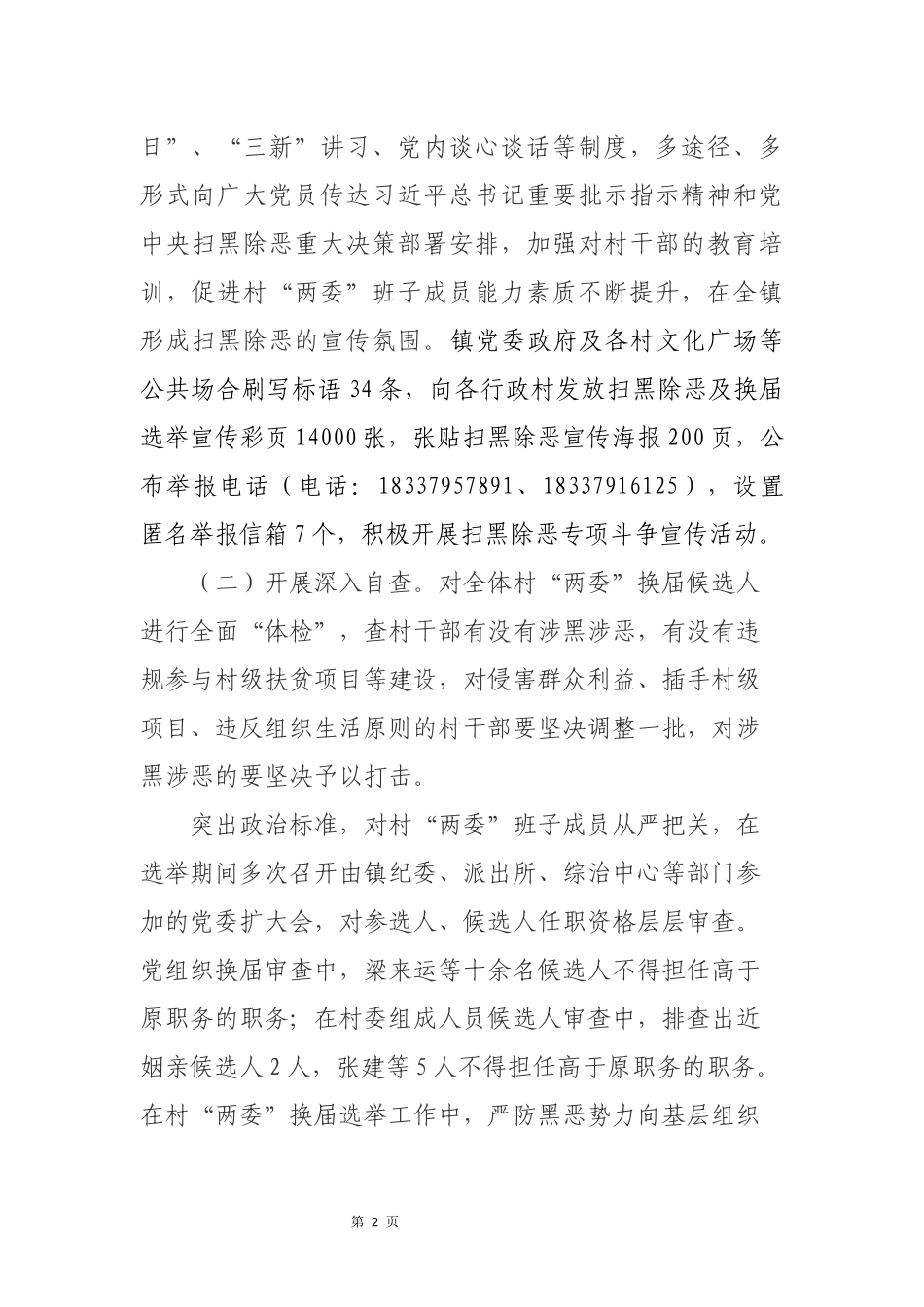 付店镇扫黑除恶基层组织建设工作专项工作汇报_第2页