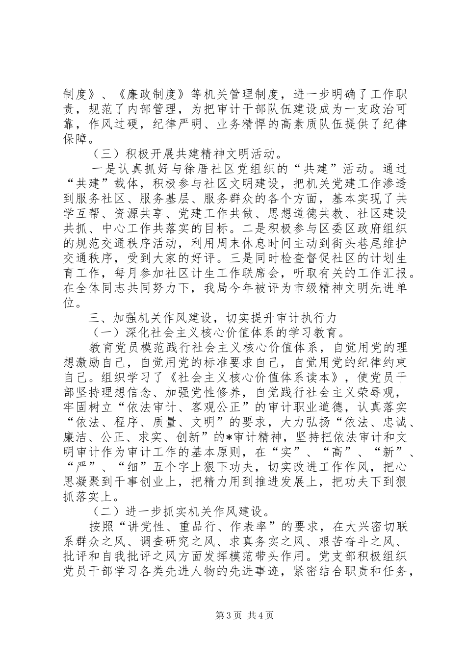 审计局党建工作总结 _第3页