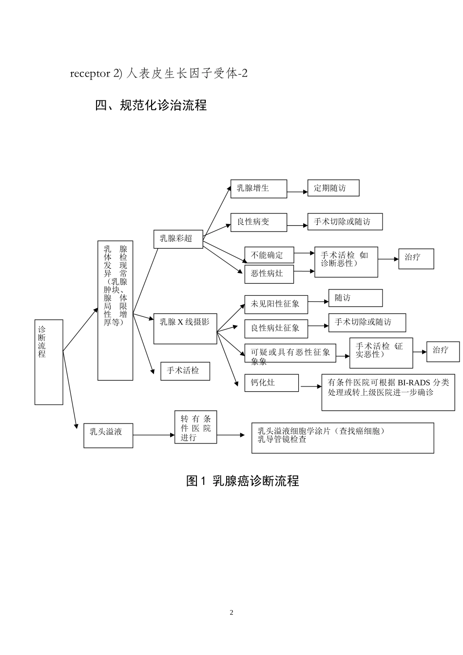 二级医院结乳腺癌规范化诊疗指南(试行)_第2页