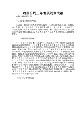 项目公司三年发展规划大纲4