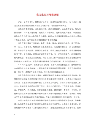 实习生实习考核评语 