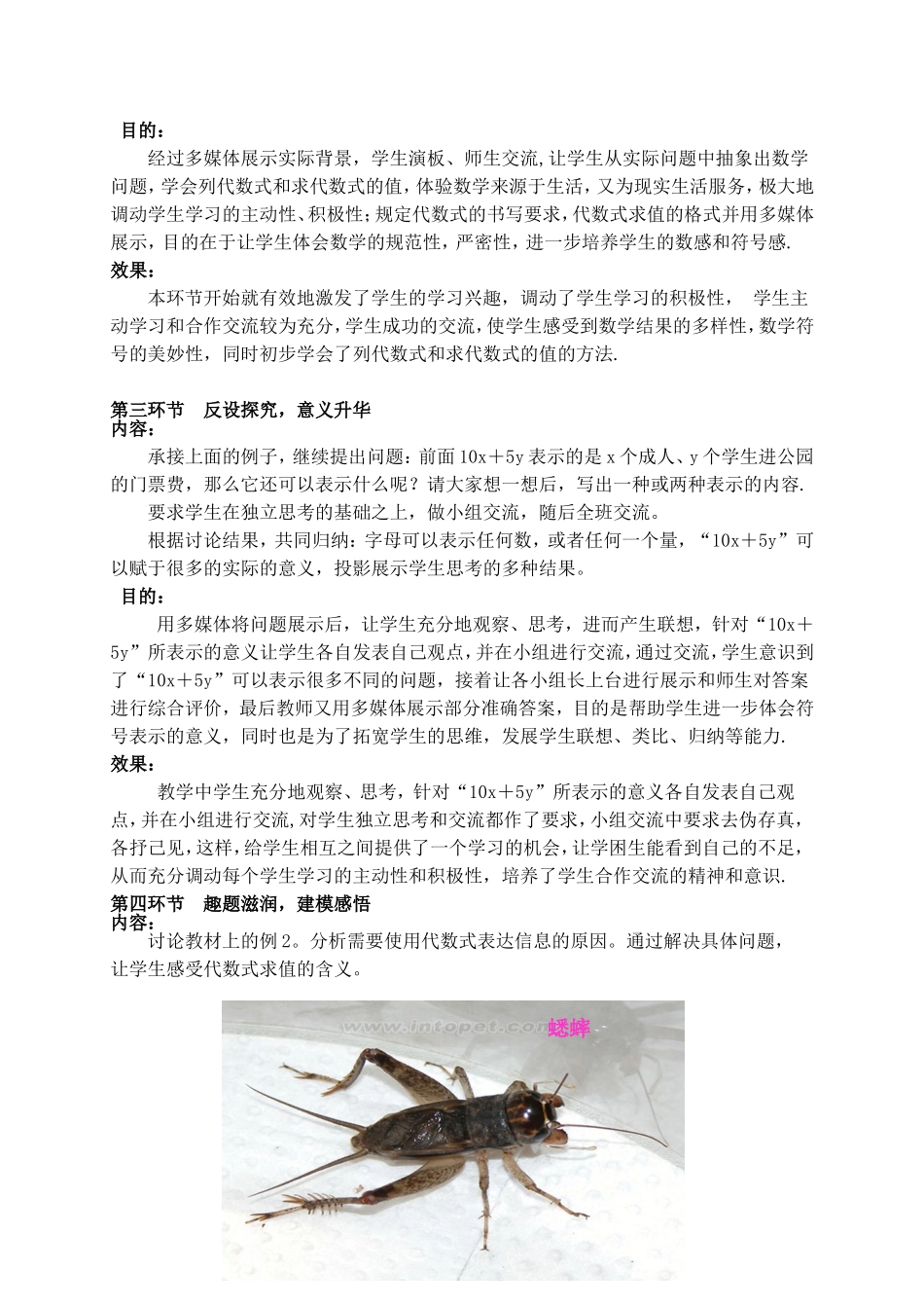 代数式教学设计_第2页