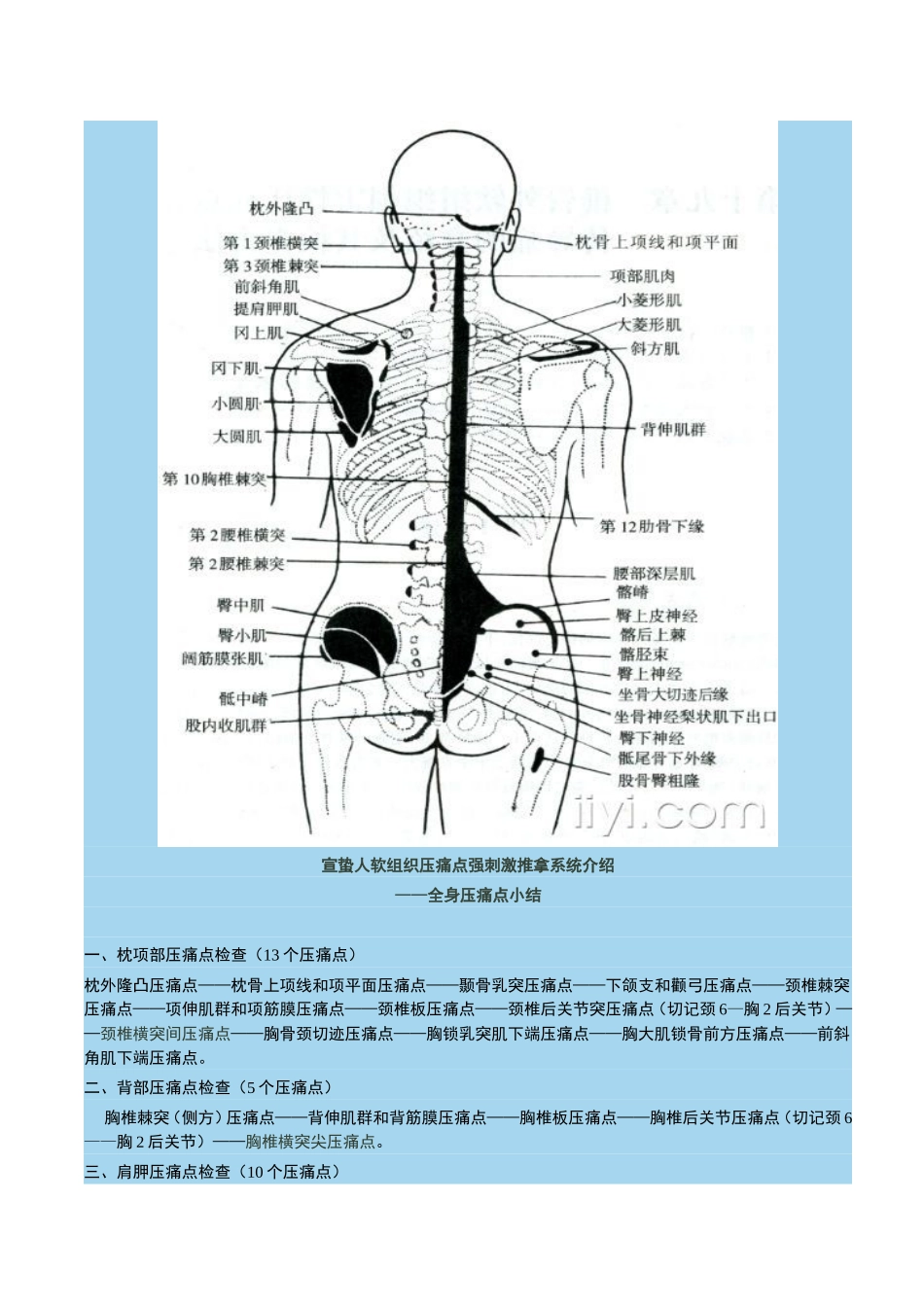 宣蛰人软组织疼痛强刺激推拿压痛点(解剖图)_第1页