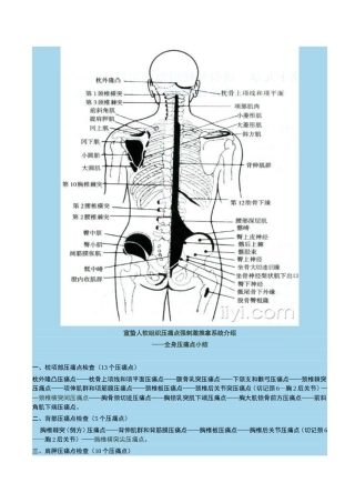 宣蛰人软组织疼痛强刺激推拿压痛点(解剖图)
