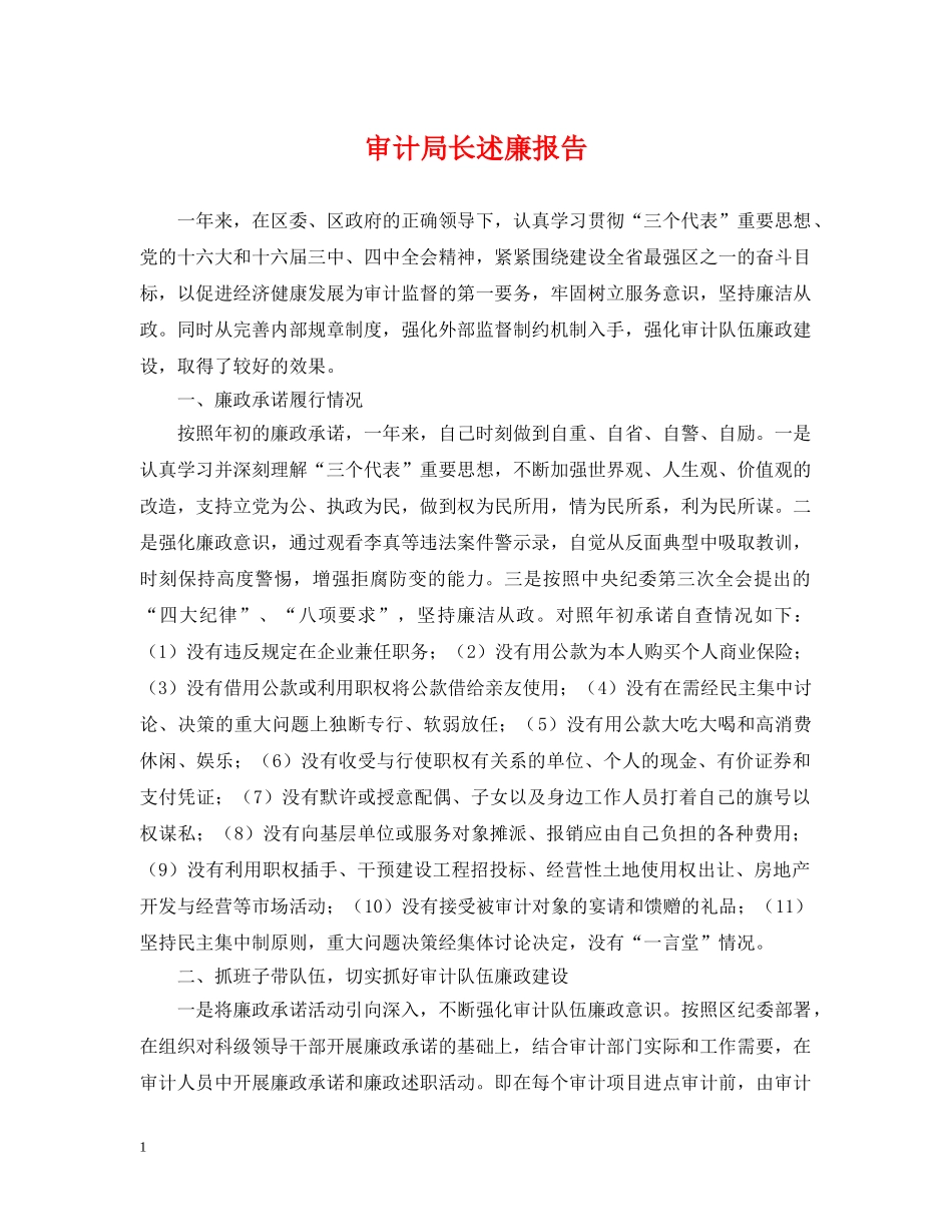 审计局长述廉报告 _第1页