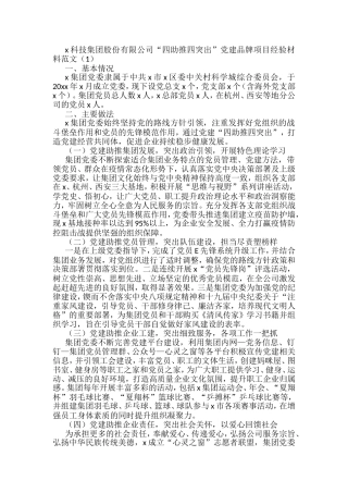 两新企业党建品牌项目创建工作经验材料汇编