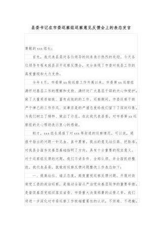 县委书记在市委巡察组巡察意见反馈会上的表态发言