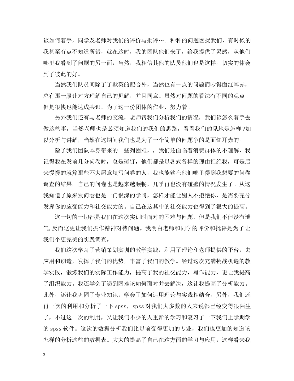 市场营销策划实训心得 _第3页