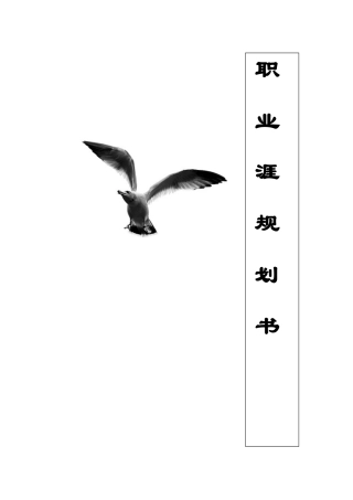 会展专业职业生涯规划