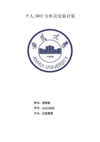 个人求职SWOT分析