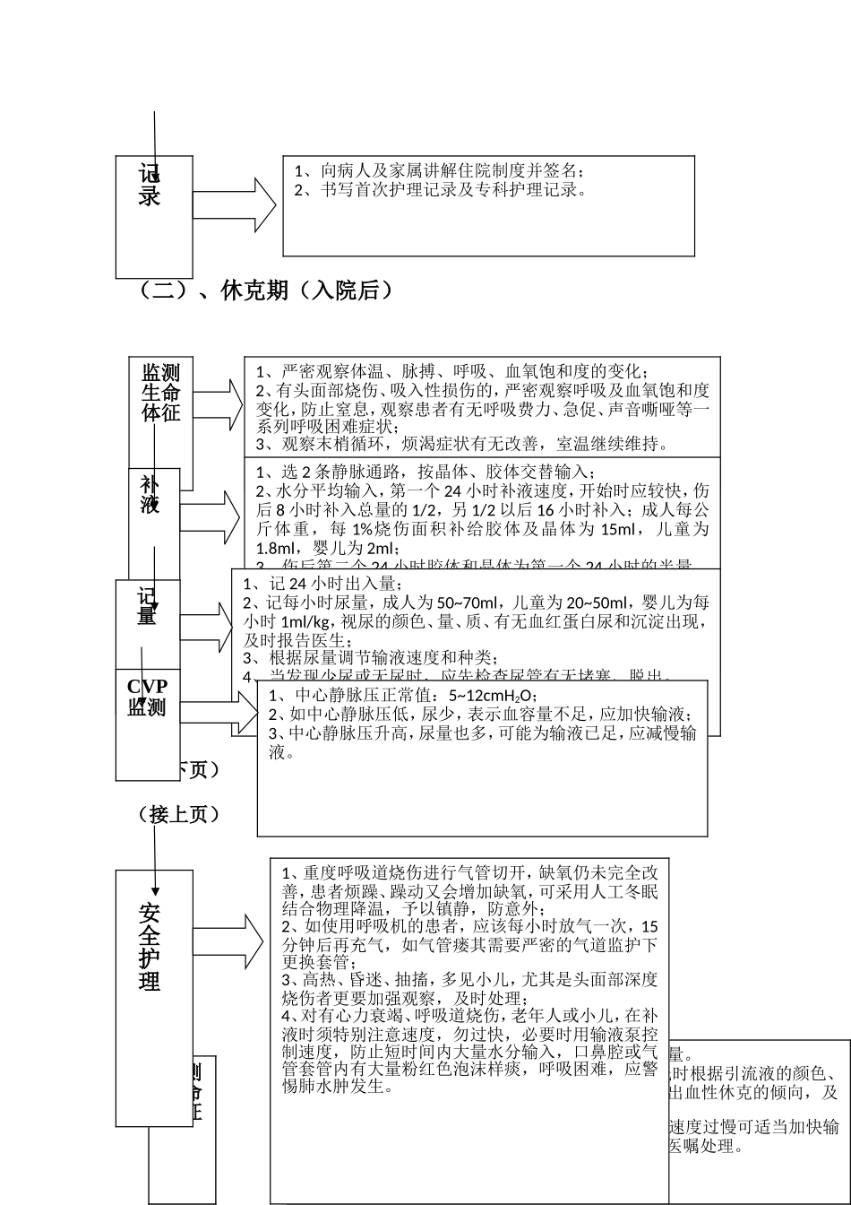 大面积烧伤的抢救流程_第2页