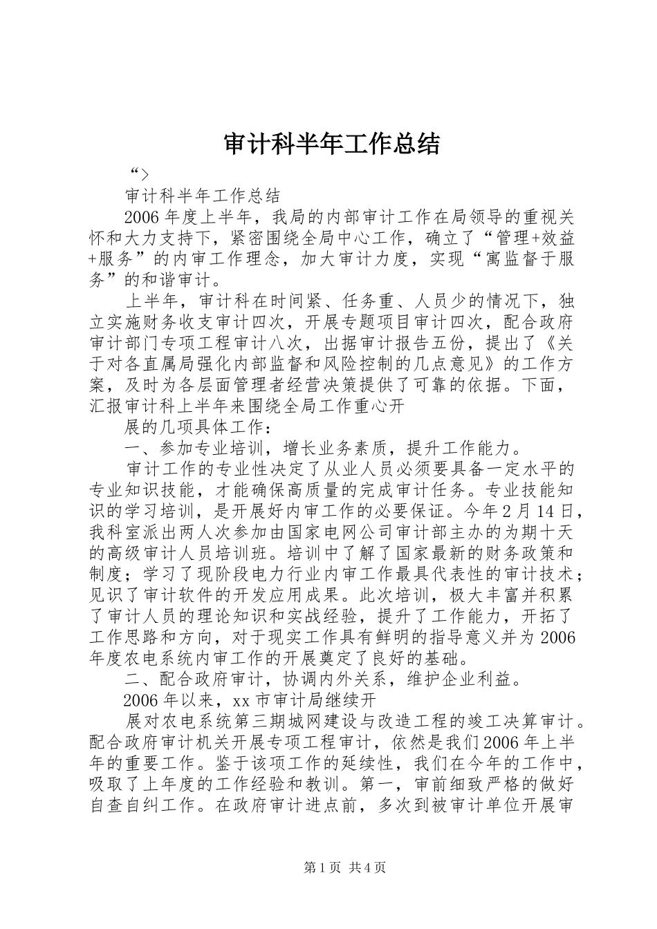 审计科半年工作总结 _第1页