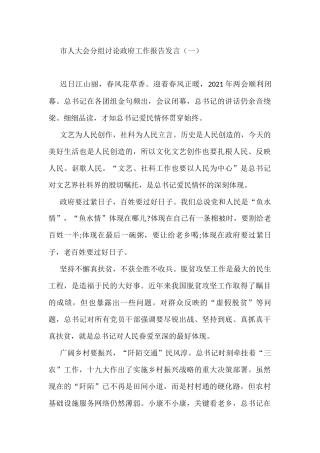 市人大会分组讨论政府工作报告发言（共20篇）