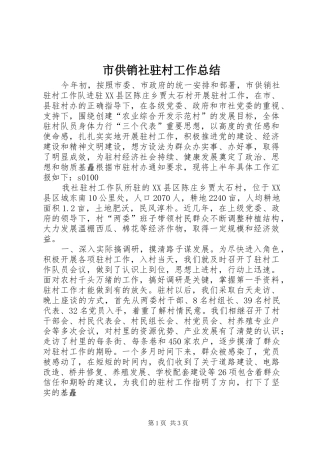 市供销社驻村工作总结 