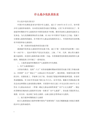 什么是少先队员队史