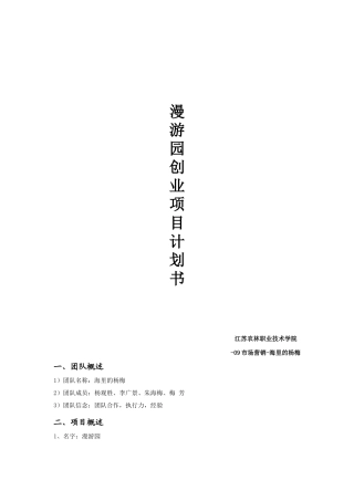 大学生创新创意创业大赛计划书