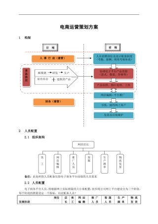 电商运营策划方案