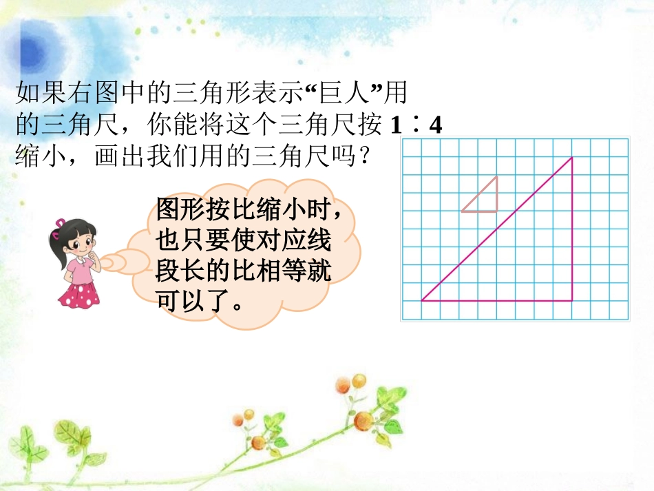 巨人-图形的放大和缩小_第3页