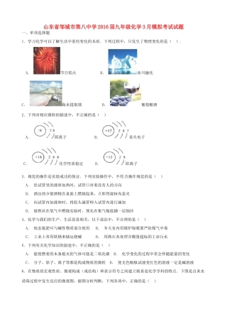 九年级化学3月模拟考试试卷(尖子生，无答案)试卷