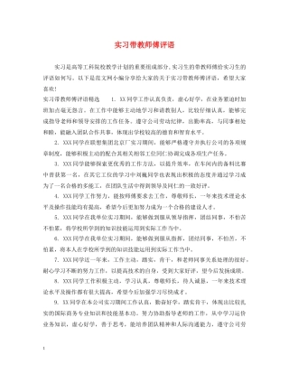 实习带教师傅评语 